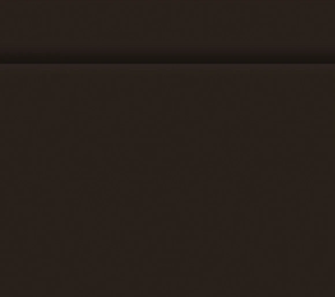 Bio Dunicel® Tête-à-Tête-Tischläufer 0,4 x 24 m Schwarz