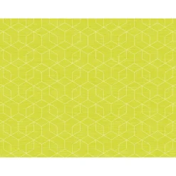 Bio Dunicel®-Tischset 30 x 40 cm Graphics Kiwi