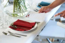 Bio Dunisoft® Serviette 40 x 40 cm Bordeaux