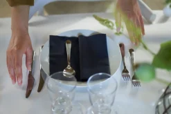 Bio Dunisoft® Serviette 40 x 40 cm Schwarz