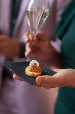 Bio Dunisoft® Serviette 20 x 20 cm Braun