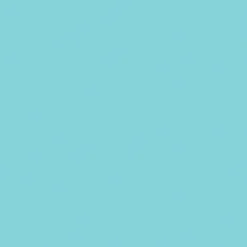 Bio Dunisoft® Serviette 40 x 40 cm Mint Blue