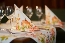 Bio Dunisoft® Serviette 40 x 40 cm Spicy Pumpkin