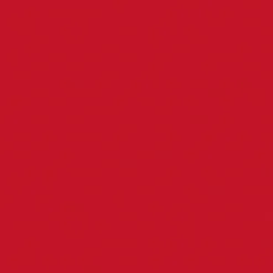 Bio Tissue-Serviette 33 x 33 cm Rot 3-lagig