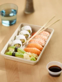 Box Bagasse 1200 ml Braun ungeteilt