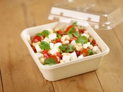 Box Bagasse 900 ml Braun ungeteilt