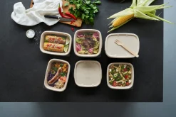 Cube Schale rechteckig 900 ml Braun ungeteilt