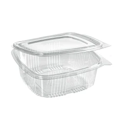 Deli Hinged 1000 ml Transparent ungeteilt