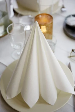 Dunilin®-Serviette 48 x 48 cm Cream