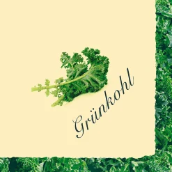 Dunisoft®-Serviette 40 x 40 cm