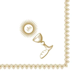 Dunisoft®-Serviette 40 x 40 cm