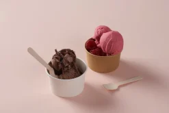 Eislöffel 9,5 cm Natürlich