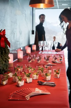 Evolin®-Tischdeckenrolle 1,20 x 20 m Bordeaux