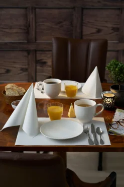 Evolin®-Tischset 30 x 43,5 cm Weiß