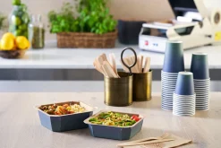 Forum Pappbox 178 x 165 x 45 mm Braun ungeteilt