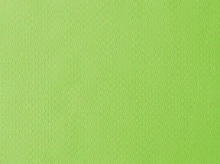 Papier-Tischset 30 x 40 cm Kiwi