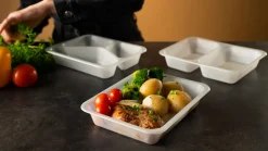 PP-Schale Caterline 227 x 178 x 40 mm Transparent ungeteilt