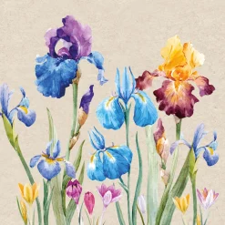 Recycling-Tissue Serviette 24 x 24 cm Iris 2-lagig