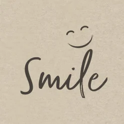 Recycling-Tissue Serviette 33 x 33 cm Natural Smile 2-lagig