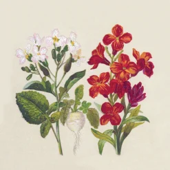 Recycling-Tissue Serviette 24 x 24 cm Botanical 2-lagig