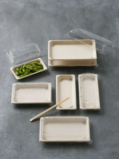 Sushi Deckel Large 500 ml Transparent