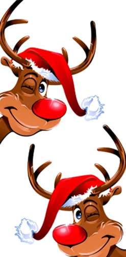 Taschentücher 21,5 x 22 cm Rudolph