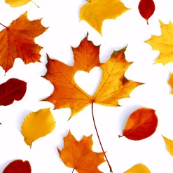 Tissue-Serviette 33 x 33 cm Autumn Love 3-lagig