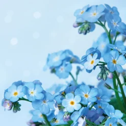 Tissue-Serviette 24 x 24 cm Blue Dream 3-lagig