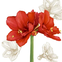 Tissue-Serviette 33 x 33 cm Blossom Red 3-lagig