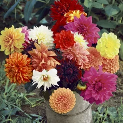 Tissue-Serviette 33 x 33 cm Floral Magic 3-lagig