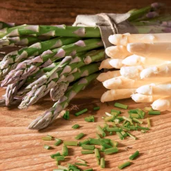 Tissue-Serviette 33 x 33 cm Fresh Asparagus 3-lagig