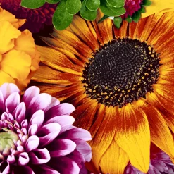 Tissue-Serviette 33 x 33 cm Late Summer 3-lagig