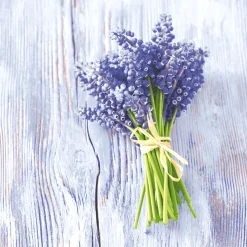 Tissue-Serviette 33 x 33 cm Muscari bundle 3-lagig
