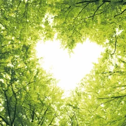 Tissue-Serviette 24 x 24 cm Nature Love 3-lagig