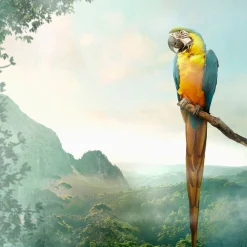 Tissue-Serviette 33 x 33 cm Parrot 3-lagig