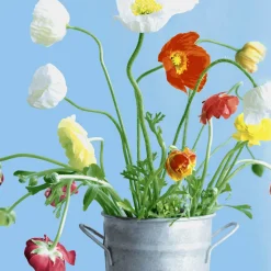 Tissue-Serviette 33 x 33 cm Poppies 3-lagig