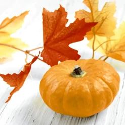 Tissue-Serviette 24 x 24 cm Pumpkin Leaf 3-lagig