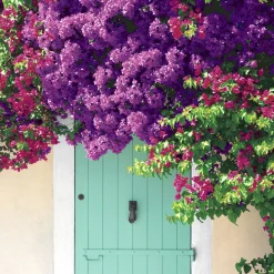 Tissue-Serviette 33 x 33 cm Summer Vibes 3-lagig