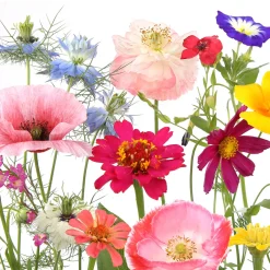 Tissue-Serviette 24 x 24 cm Wildflower garden 3-lagig