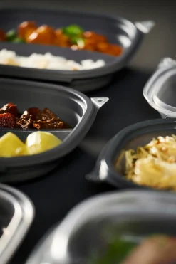 Vista Box Large 670/460 ml Grau 2-Teilung